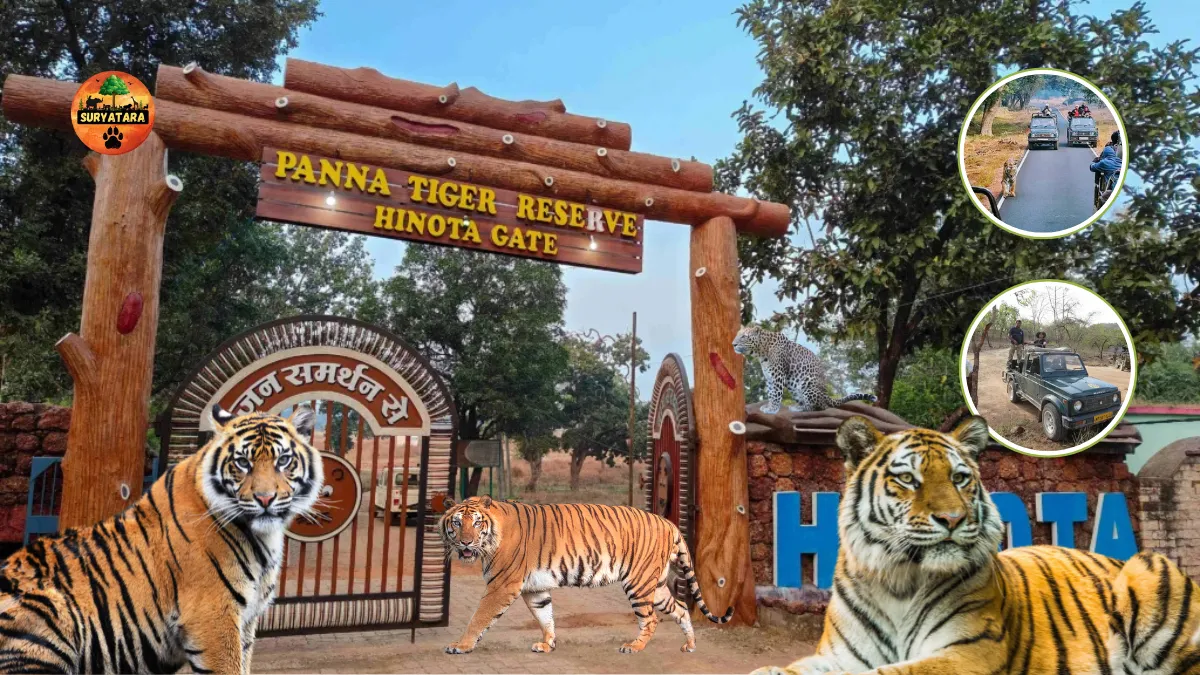 Make your Holiday filled with Surprises! Plan your next trip to Panna 